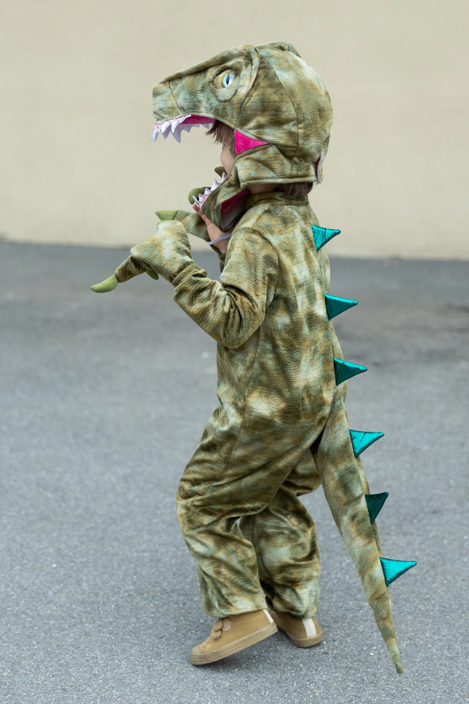 A Land Before Mine Deluxe Raptor - Image 2