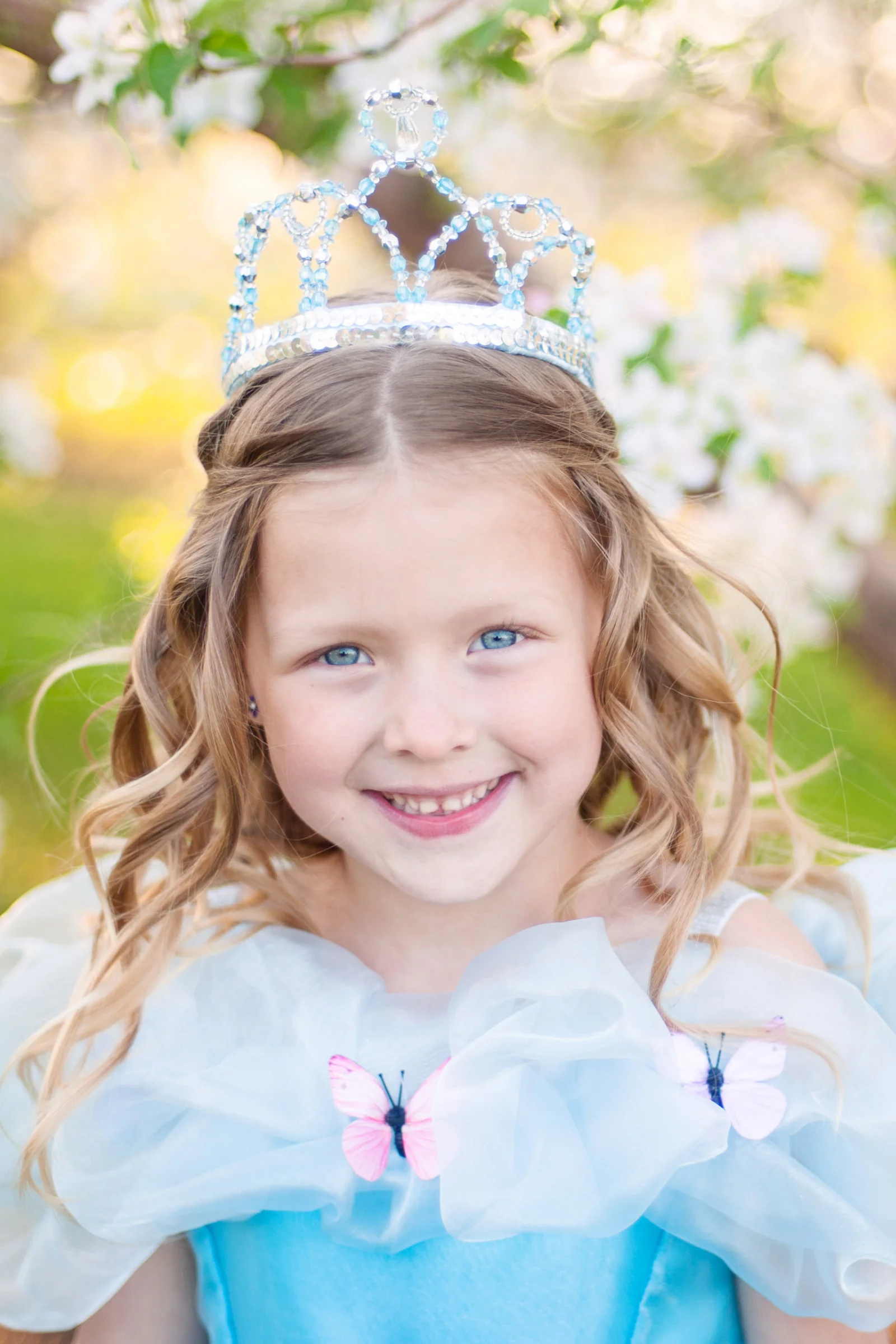 Blue Beauty Tiara