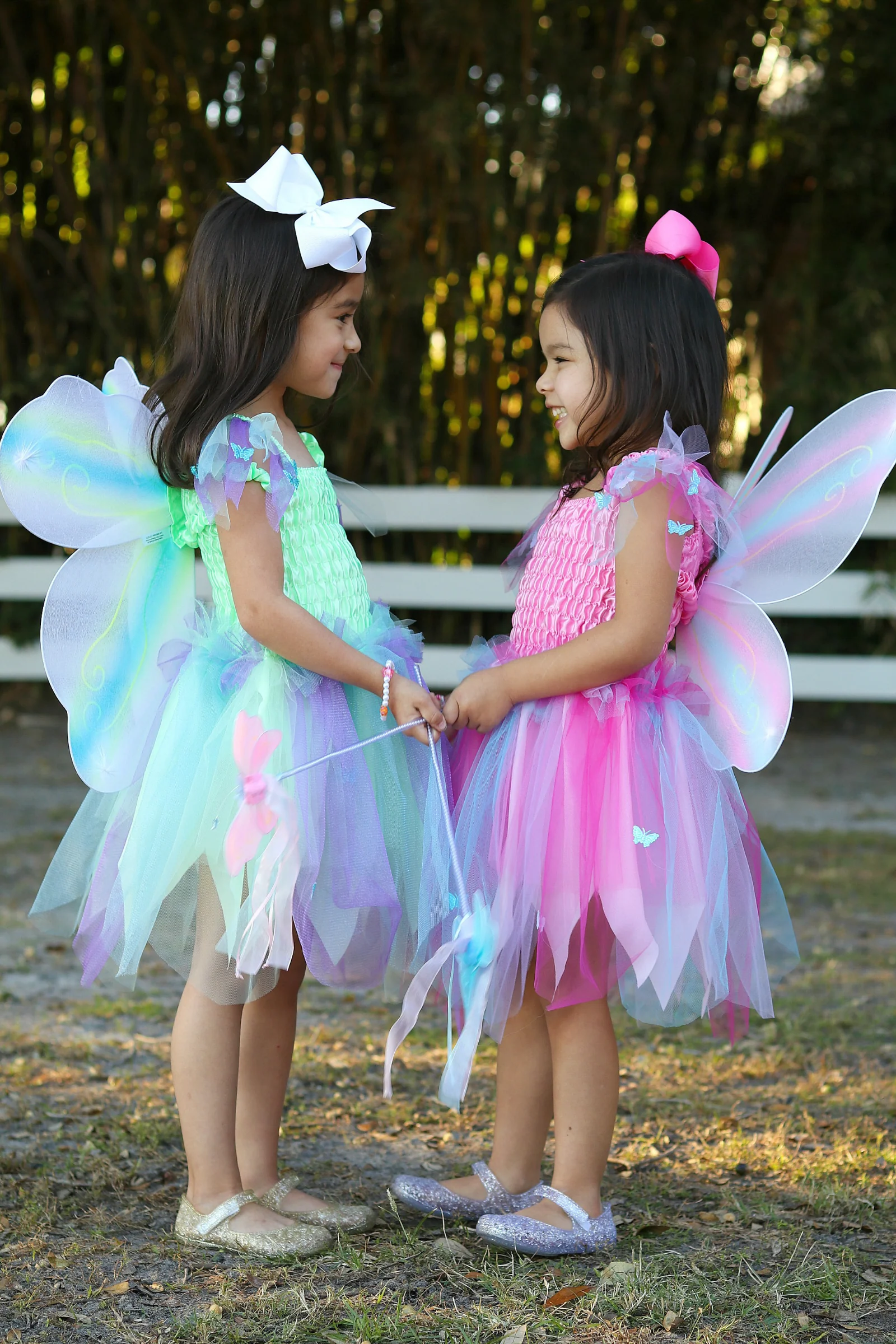 Butterfly Dress & Wings with Wand - Image 2