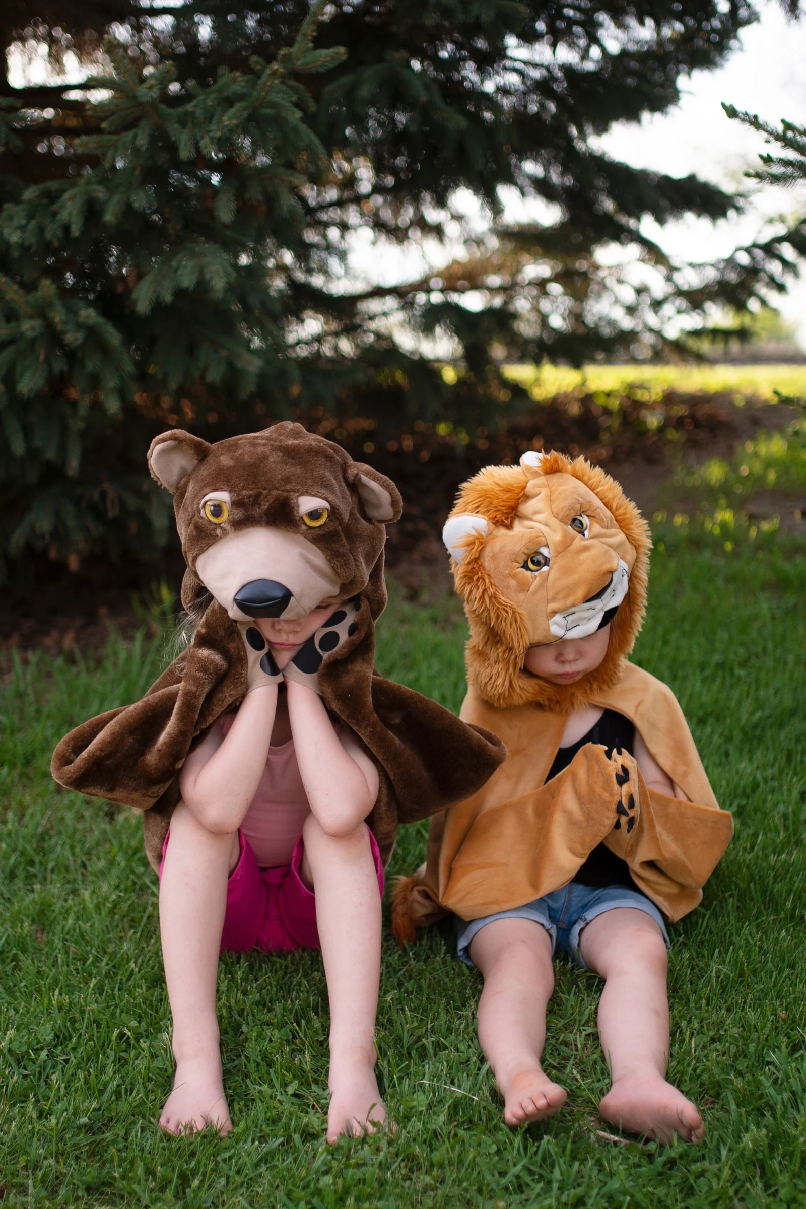 Storybook Lion Cape - Image 9
