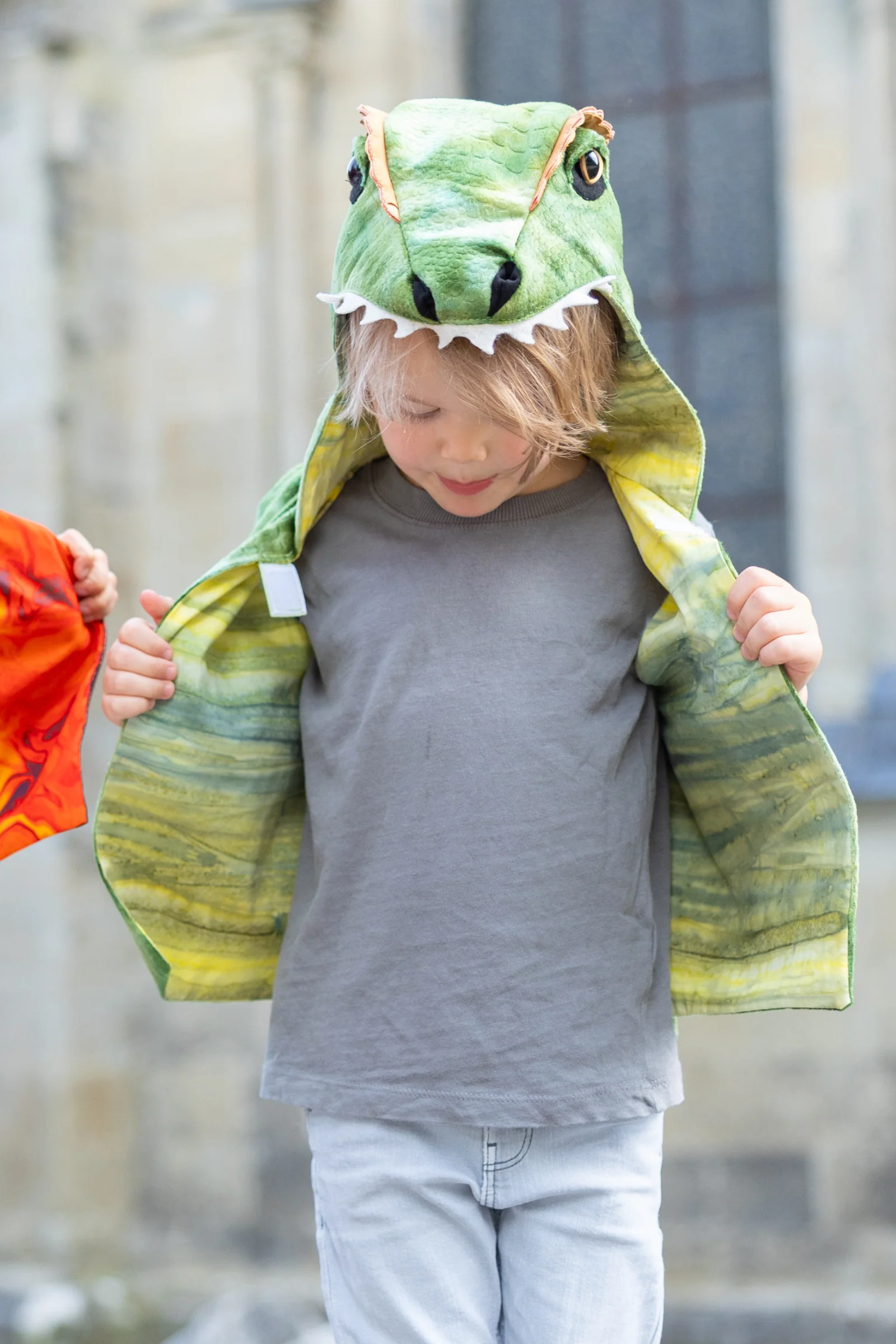 The All Day Everyday Dino Vest - Image 2
